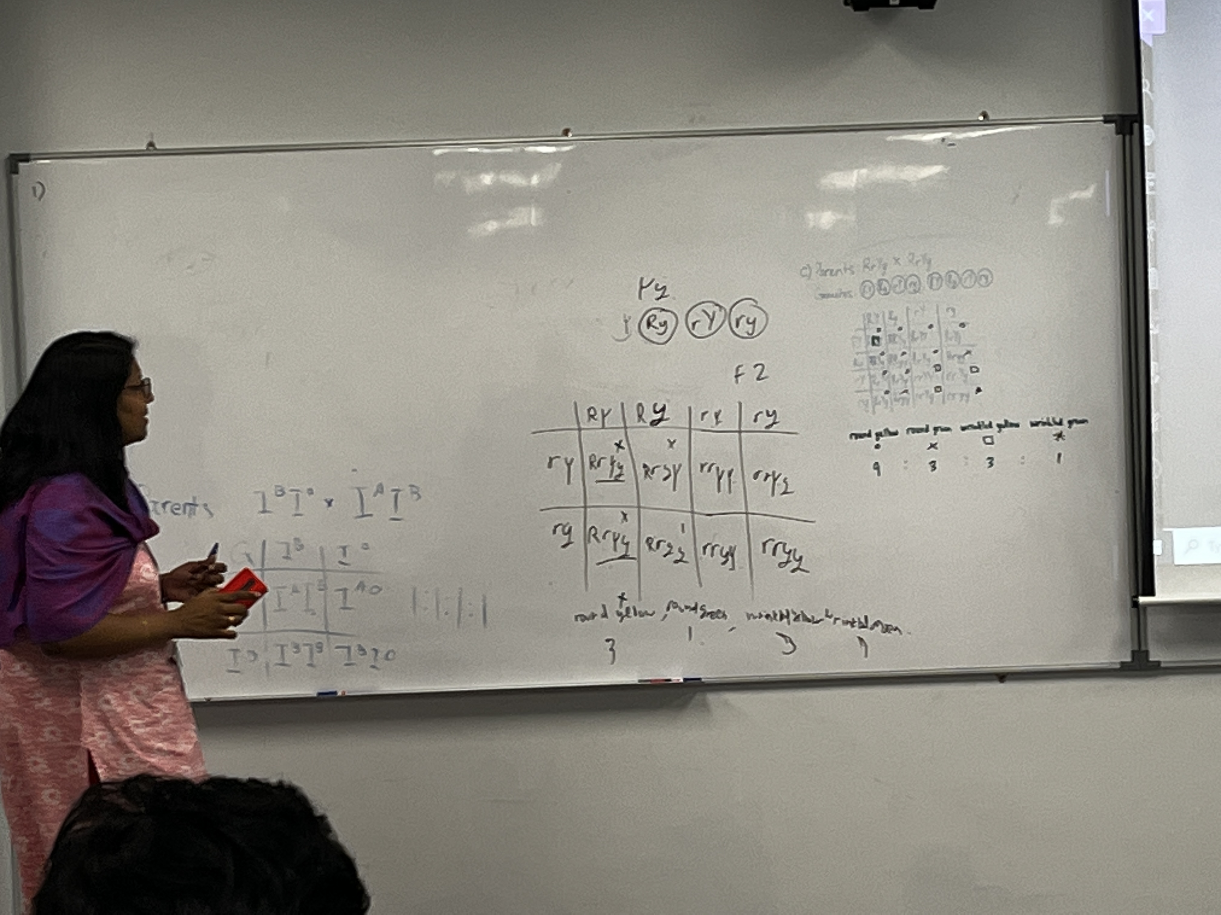 Excellence Academy lecturer teaching at the whiteboard